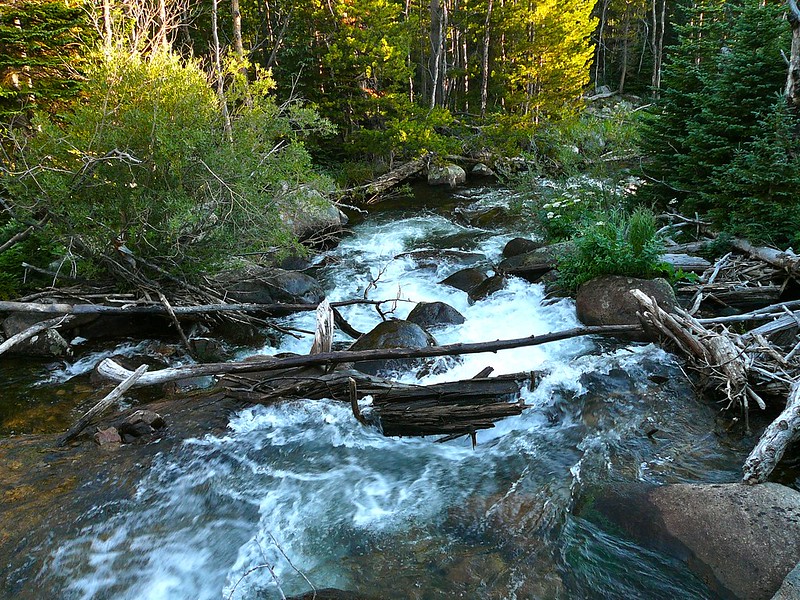 bear stream park lakewood colorado